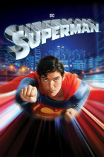 Imagen de Superman - 1