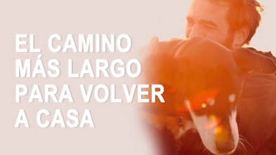 Imagen de El camino más largo para volver a casa - 2