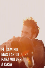 Imagen de El camino más largo para volver a casa - 1
