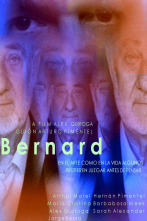 Imagen de Bernard - 1