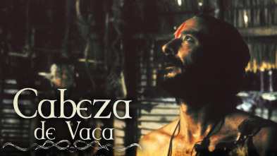 Imagen de Cabeza de vaca - 2