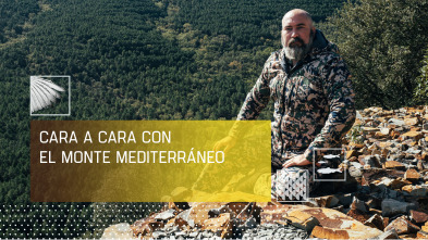 Imagen de Cara a cara con el monte mediterráneo - 2