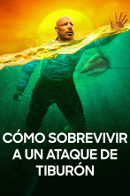 Imagen de Cómo sobrevivir a un ataque de tiburón - 1