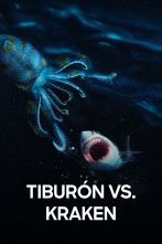Imagen de Tiburón vs. Kraken - 1