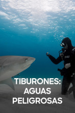 Imagen de Tiburones: aguas peligrosas - 1