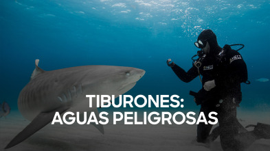 Imagen de Tiburones: aguas peligrosas - 2