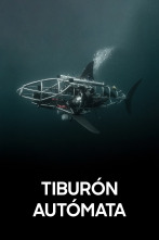 Imagen de Tiburón autómata - 1