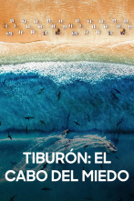 Imagen de Tiburón: el cabo del miedo - 2
