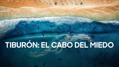 Imagen de Tiburón: el cabo del miedo - 4