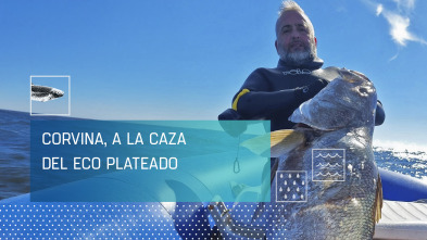Imagen de Corvina, a la caza del eco plateado - 2
