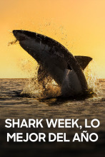 Imagen de Shark week: lo mejor del año - 1