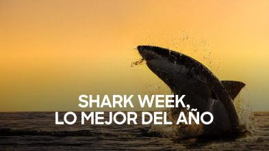 Imagen de Shark week: lo mejor del año - 2