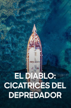 Imagen de El Diablo: cicatrices del depredador - 1
