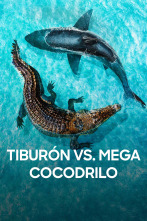 Imagen de Tiburón vs. mega cocodrilo - 1