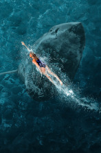 Imagen de Surviving Jaws - 3
