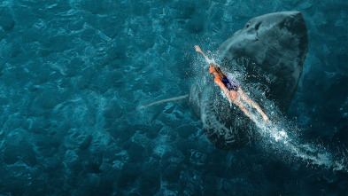 Imagen de Surviving Jaws - 4