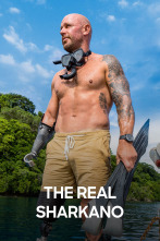 Imagen de The Real Sharkano  - 1
