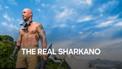 Imagen de The Real Sharkano  - 2