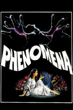 Imagen de Phenomena - 1