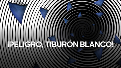 Imagen de ¡Peligro, tiburón blanco! - 2