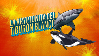 Imagen de La kryptonita del tiburón blanco - 2