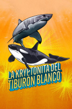 Imagen de La kryptonita del tiburón blanco - 1