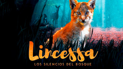 Imagen de Lincessa. Los silencios del bosque - 2