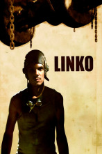 Imagen de Linko - 1