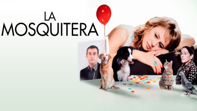 Imagen de La mosquitera - 2