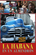 Imagen de La Habana en un Almendrón - 1