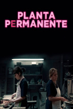 Imagen de Planta permanente - 1