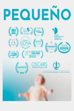 Imagen de Pequeño - 1