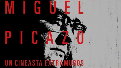 Imagen de Miguel Picazo, un cineasta extramuros - 2