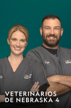 Imagen de Veterinarios de Nebraska (T4) - 3