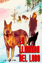 Imagen de La llamada del lobo - 1