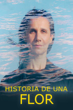 Imagen de Historia de una flor - 1