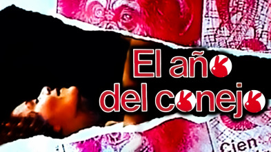 Imagen de El año del conejo - 2