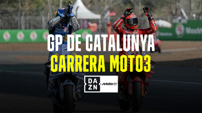 Imagen de Mundial de... (2025): Carrera Moto3 - 2
