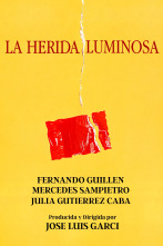 Imagen de La herida luminosa (1997) - 1