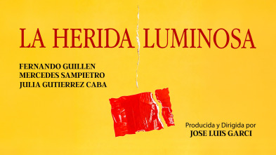 Imagen de La herida luminosa (1997) - 2