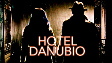 Imagen de Hotel Danubio - 2