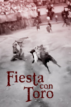 Imagen de Fiestas con toro - 1