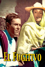 Imagen de El fugitivo - 1