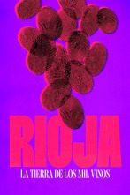 Imagen de Rioja, la tierra de los mil vinos - 1