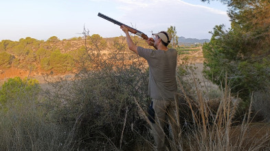 Imagen de Torcaces murcianas - 3