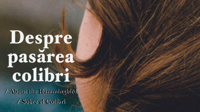 Imagen de Sobre el colibrí - 2