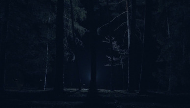 Imagen de La importancia de la noche - 3