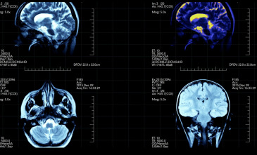 Imagen de La importancia de la noche - 11