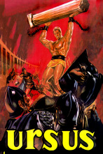 Imagen de Ursus - 1