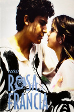 Imagen de Una rosa de Francia - 1